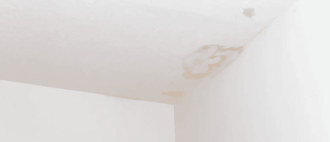 Water Damage Repairs
